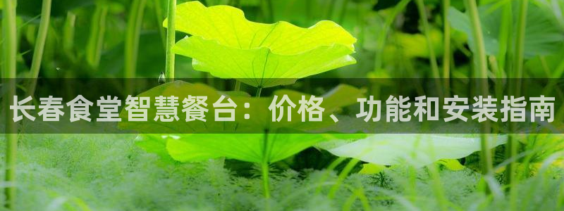 尊龙官网地址