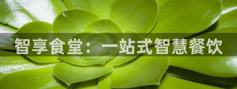 尊龙 贴吧