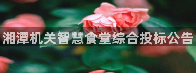 尊龙d88官网选RA来就送38