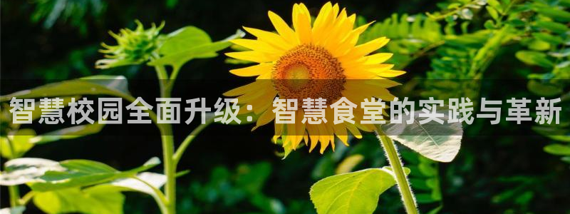 尊龙凯时充值不到账