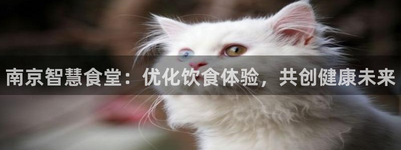 尊龙app认可ag发财网