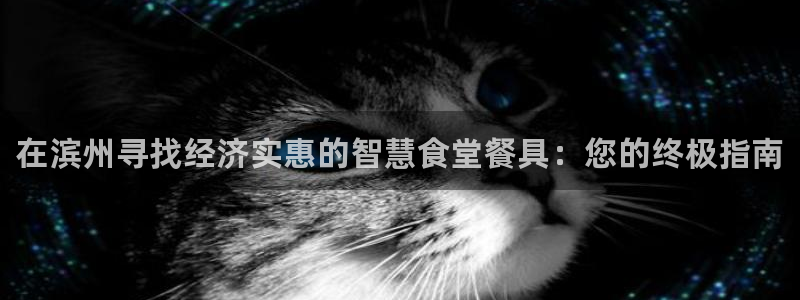 凯时官网手机版首页
